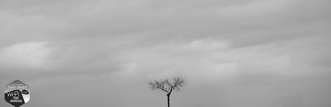 Fotógrafos de Bodas 01300