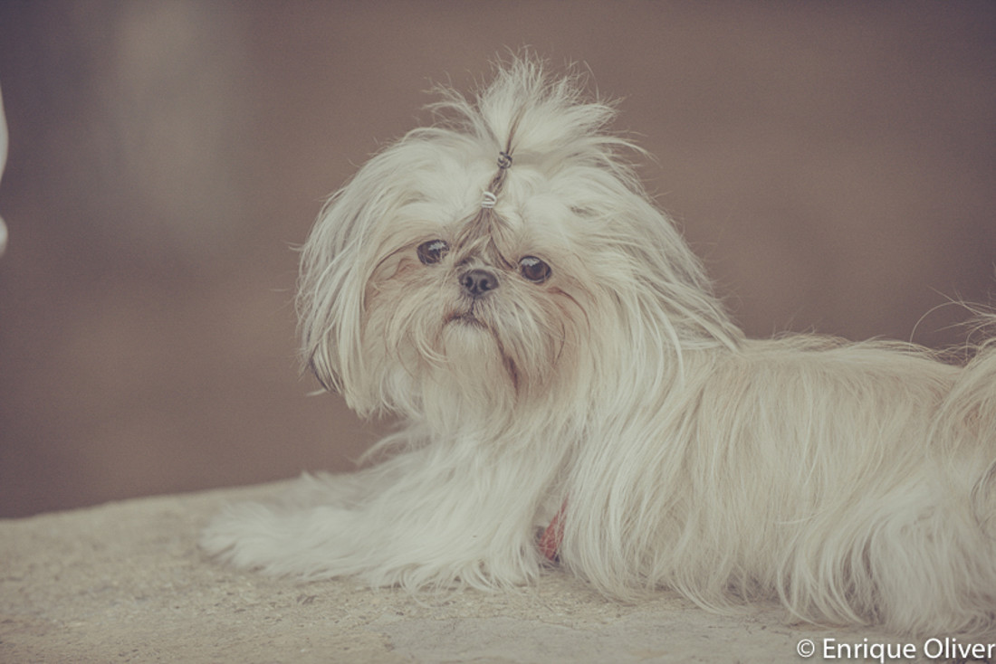FOTOGRAFOS DE BODAS 28