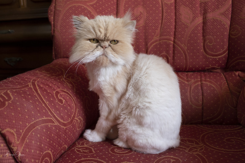 fotografos de boda en valencia19