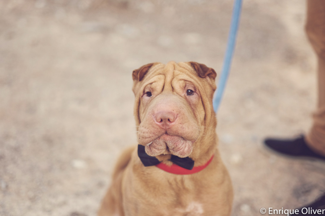 Fotografos de bodas en Valencia y Castellon 08